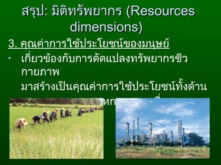 3. คุณค่าการใช้ประโยชน์ของมนุษย์
• เกี่ยวข้องกับการดัดแปลงทรัพยากรชีว
กายภาพ
มาสร้างเป็นคุณค่าการใช้ประโยชน์ทั้งด้าน
เกษตรกรรม อุตสาหกรรม การสื่อสาร
เป็นต้น
สรุปสรุป:: มิติทรัพยากรมิติทรัพยากร ((ResourcesResources
dimensions)dimensions)
 