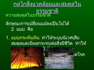 กลไกสิ่งแวดล้อมและสมดุลในกลไกสิ่งแวดล้อมและสมดุลใน
ธรรมชาติธรรมชาติ
ความสมดุลในธรรมชาติ
ลักษณะการเปลี่ยนแปลงเป็นไปได้ 
2  แบบ  คือ  
1. แบบกระทันหัน: ทำาให้ระบบนิเวศเสีย
สมดุลและมีผลกระทบต่อสิ่งมีชีวิต  ทำาให้
ตายหรือสูญพันธุ์ไปได้ง่าย  เช่น
การเกิดไฟไหม้ป่า  อุทกภัย การเกิดโรค
ระบาด  ฯลฯ
 