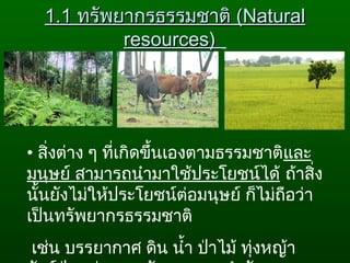 1.11.1 ทรัพยากรธรรมชาติทรัพยากรธรรมชาติ ((NaturalNatural
resourcesresources) ) 
• สิ่งต่าง ๆ ที่เกิดขึ้นเองตามธรรมชาติและ
มนุษย์ สามารถนำามาใช้ประโยชน์ได้ ถ้าสิ่ง
นั้นยังไม่ให้ประโยชน์ต่อมนุษย์ ก็ไม่ถือว่า
เป็นทรัพยากรธรรมชาติ
เช่น บรรยากาศ ดิน นำ้า ป่าไม้ ทุ่งหญ้า
 