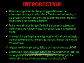 Methane emissions from rice fields and its mitigation options by vinal ...