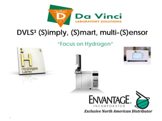 DVLS³ (S)imply, (S)mart, multi-(S)ensor
                “Focus on Hydrogen”




                         Exclusive North American Distributor
1
 