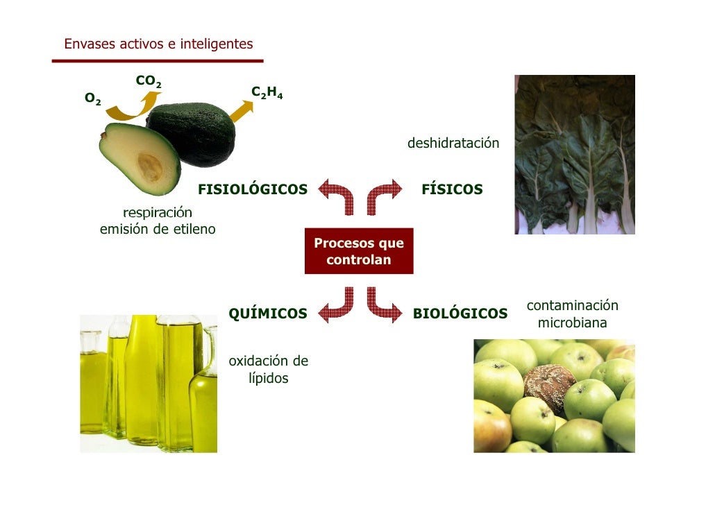 envasado alimentos envasado de alimentos envasado alimentos envasado de alimentos