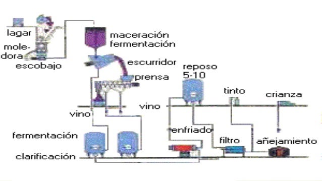 Resultado de imagen para produccion del vino