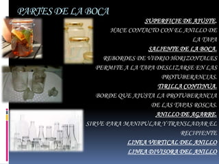 PARTES DE LA BOCA
                             SUPERFICIE DE AJUSTE.
                   HACE CONTACTO CON EL ANILLO DE
                                           LA TAPA
                              SALIENTE DE LA BOCA.
                 REBORDES DE VIDRIO HORIZONTALES
               PERMITE A LA TAPA DESLIZARSE EN LAS
                                  PROTUBERANCIAS.
                                 TIRILLA CONTINUA.
               BORDE QUE AJUSTA LA PROTUBERANCIA
                               DE LAS TAPAS ROSCAS.
                                 ANILLO DE AGARRE.
            SIRVE PARA MANIPULAR Y TRANSLADAR EL
                                        RECIPIENTE
                        LINEA VERTICAL DEL ANILLO
                        LINEA DIVISORA DEL ANILLO
 