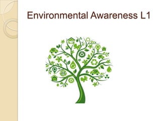 Environmental Awareness L1

 