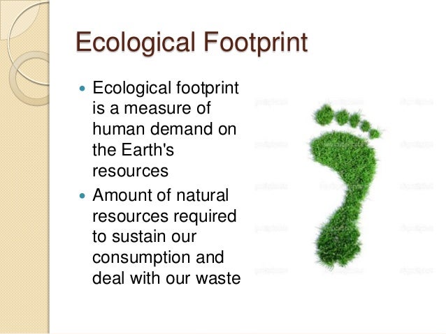 Environmental Awareness L1 Presentation