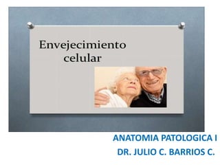 CION
ANATOMIA PATOLOGICA I
DR. JULIO C. BARRIOS C.
 