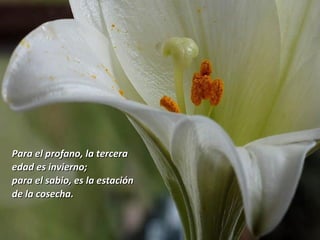 Para el profano, la terceraPara el profano, la tercera
edad es invierno;edad es invierno;
para el sabio, es la estaciónpara el sabio, es la estación
de la cosecha.de la cosecha.
 