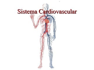 Sistema CardiovascularSistema Cardiovascular
 