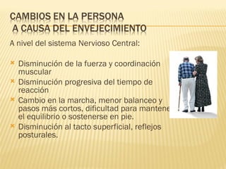 A nivel del sistema Nervioso Central:

   Disminución de la fuerza y coordinación
    muscular
   Disminución progresiva del tiempo de
    reacción
   Cambio en la marcha, menor balanceo y
    pasos más cortos, dificultad para mantener
    el equilibrio o sostenerse en pie.
   Disminución al tacto superficial, reflejos
    posturales.
 