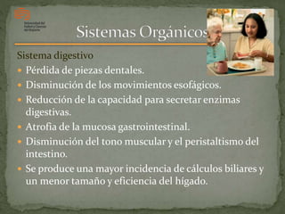 Sistema digestivo
 Pérdida de piezas dentales.
 Disminución de los movimientos esofágicos.
 Reducción de la capacidad para secretar enzimas
digestivas.
 Atrofia de la mucosa gastrointestinal.
 Disminución del tono muscular y el peristaltismo del
intestino.
 Se produce una mayor incidencia de cálculos biliares y
un menor tamaño y eficiencia del hígado.
 