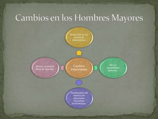 Cambios
Funcionales
Reducción de los
niveles de
testosterona.
Menor
sensibilidad
peneana.
Disminución del
número de
erecciones
nocturnas
involuntarias.
Menor necesidad
física de eyacular.
 