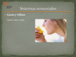  Gusto y Olfato
Salado, dulce y acido
 