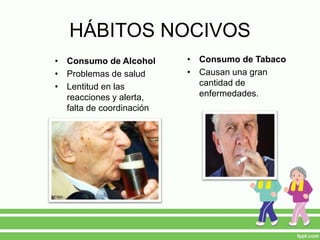 HÁBITOS NOCIVOS
• Consumo de Alcohol
• Problemas de salud
• Lentitud en las
reacciones y alerta,
falta de coordinación
• Consumo de Tabaco
• Causan una gran
cantidad de
enfermedades.
 