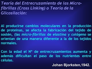 Teoría del Entrecruzamiento de las Micro-fibrillas (Cross Linking) o Teoría de la Glicosilación: Al producirse cambios moleculares en la producción de proteínas, se afecta la fabricación del tejido de sostén, (las  micro-fibrillas  de  elastina  y  colágeno  se orientan de una manera diferente a la de los tejidos normales. Con la edad el Nº de entrecruzamientos aumenta y además dificultan el paso de los nutrientes entre células. Johan Bjorksten,1942.  