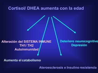 Cortisol/ DHEA aumenta con la edad Alteración del SISTEMA INMUNE TH1/ TH2 Autoinmunidad Deterioro neurocognitivo Depresión Aumenta el catabolismo Ateroesclerosis e Insulino resistencia 