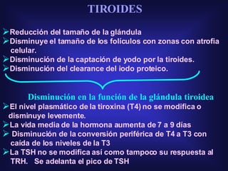   TIROIDES Reducción del tamaño de la glándula Disminuye el tamaño de los folículos con zonas con atrofia  celular.  Disminución de la captación de yodo por la tiroides.  Disminución del clearance del iodo proteico. Disminución en la función de la glándula tiroidea  El nivel plasmático de la tiroxina (T4) no se modifica o  disminuye levemente.  La vida media de la hormona aumenta de 7 a 9 días Disminución de la conversión periférica de T4 a T3 con  caída de los niveles de la T3 La TSH no se modifica así como tampoco su respuesta al  TRH.   Se adelanta el pico de TSH 