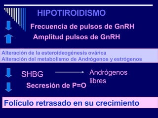 HIPOTIROIDISMO Frecuencia de pulsos de GnRH Amplitud pulsos de GnRH SHBG Andrógenos libres Folículo retrasado en su crecimiento Alteración de la esteroideogénesis ovárica Alteración del metabolismo de Andrógenos y estrógenos Secresión de P=O 