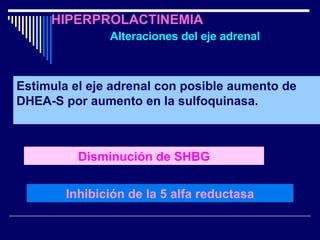 HIPERPROLACTINEMIA   Alteraciones del eje adrenal Estimula el eje adrenal con posible aumento de DHEA-S por aumento en la sulfoquinasa. Inhibición de la 5 alfa reductasa Disminución de SHBG 