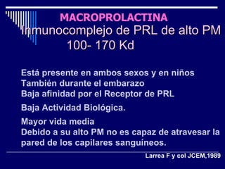 MACROPROLACTINA Inmunocomplejo de PRL de alto PM 100- 170 Kd Está presente en ambos sexos y en niños También durante el embarazo Baja afinidad por el Receptor de PRL  Baja Actividad Biológica. Mayor vida media Debido a su alto PM no es capaz de atravesar la pared de los capilares sanguíneos. Larrea F y col JCEM,1989 