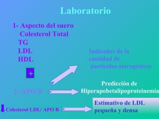 Laboratorio 1-   Aspecto del suero Colesterol Total TG LDL HDL 2- APO B Predicción de  Hiperapobetalipoproteinemia Colesterol LDL/ APO B Estimativo de LDL pequeña y densa Indicador de la cantidad de partículas aterogénicas + 