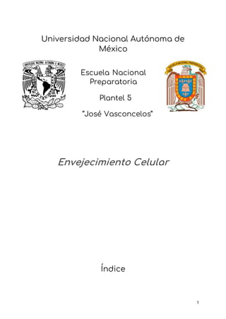 1
Universidad Nacional Autónoma de
México
Escuela Nacional
Preparatoria
Plantel 5
“José Vasconcelos”
Envejecimiento Celular
Índice
 