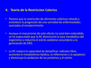 4. Teoria de la Restriccion Calorica
• Postula que la restricción de alimentos calóricos retarda y
enlentece la progresión de una variedad de enfermedades
asociadas al envejecimiento
• Aunque el mecanismo de este efecto no está bien entendido,
se ha especulado que la RC disminuiría la tasa metabólica del
organismo y reduciría el estrés oxidativo secundario a la
generación de ERO.
• La RC mejora la capacidad de detoxificar radicales libre,
aumenta el metabolismo lipidico, la inflamacion y la apoptosis
y disminuye la oxidacion de las proteinas y el estrés.
 