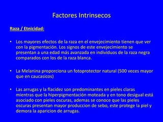 Factores Intrinsecos
Raza / Etnicidad:
• Los mayores efectos de la raza en el envejecimiento tienen que ver
con la pigmentación. Los signos de este envejecimiento se
presentan a una edad más avanzada en individuos de la raza negra
comparados con los de la raza blanca.
• La Melanina proporciona un fotoprotector natural (500 veces mayor
que en caucasicos)
• Las arrugas y la flacidez son predominantes en pieles claras
mientras que la hiperpigmentación moteada y en tono desigual está
asociado con pieles oscuras, ademas se conoce que las pieles
oscuras presentan mayor produccion de sebo, este protege la piel y
demora la aparicion de arrugas.
 