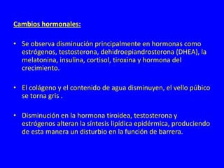 Cambios hormonales:
• Se observa disminución principalmente en hormonas como
estrógenos, testosterona, dehidroepiandrosterona (DHEA), la
melatonina, insulina, cortisol, tiroxina y hormona del
crecimiento.
• El colágeno y el contenido de agua disminuyen, el vello púbico
se torna gris .
• Disminución en la hormona tiroidea, testosterona y
estrógenos alteran la síntesis lipídica epidérmica, produciendo
de esta manera un disturbio en la función de barrera.
 