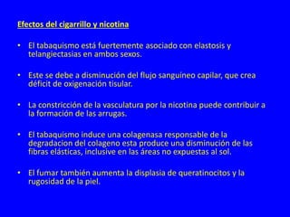 Efectos del cigarrillo y nicotina
• El tabaquismo está fuertemente asociado con elastosis y
telangiectasias en ambos sexos.
• Este se debe a disminución del flujo sanguíneo capilar, que crea
déficit de oxigenación tisular.
• La constricción de la vasculatura por la nicotina puede contribuir a
la formación de las arrugas.
• El tabaquismo induce una colagenasa responsable de la
degradacion del colageno esta produce una disminución de las
fibras elásticas, inclusive en las áreas no expuestas al sol.
• El fumar también aumenta la displasia de queratinocitos y la
rugosidad de la piel.
 