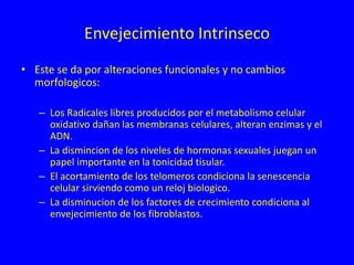 Envejecimiento Intrinseco
• Este se da por alteraciones funcionales y no cambios
morfologicos:
– Los Radicales libres producidos por el metabolismo celular
oxidativo dañan las membranas celulares, alteran enzimas y el
ADN.
– La dismincion de los niveles de hormonas sexuales juegan un
papel importante en la tonicidad tisular.
– El acortamiento de los telomeros condiciona la senescencia
celular sirviendo como un reloj biologico.
– La disminucion de los factores de crecimiento condiciona al
envejecimiento de los fibroblastos.
 