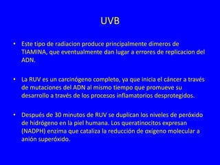 UVB
• Este tipo de radiacion produce principalmente dimeros de
TIAMINA, que eventualmente dan lugar a errores de replicacion del
ADN.
• La RUV es un carcinógeno completo, ya que inicia el cáncer a través
de mutaciones del ADN al mismo tiempo que promueve su
desarrollo a través de los procesos inflamatorios desprotegidos.
• Después de 30 minutos de RUV se duplican los niveles de peróxido
de hidrógeno en la piel humana. Los queratinocitos expresan
(NADPH) enzima que cataliza la reducción de oxígeno molecular a
anión superóxido.
 