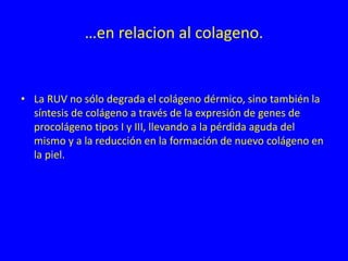 …en relacion al colageno.
• La RUV no sólo degrada el colágeno dérmico, sino también la
síntesis de colágeno a través de la expresión de genes de
procolágeno tipos I y III, llevando a la pérdida aguda del
mismo y a la reducción en la formación de nuevo colágeno en
la piel.
 