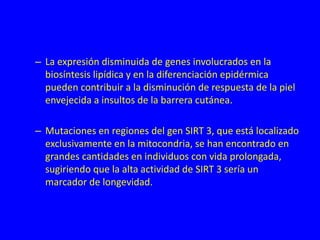 – La expresión disminuida de genes involucrados en la
biosíntesis lipídica y en la diferenciación epidérmica
pueden contribuir a la disminución de respuesta de la piel
envejecida a insultos de la barrera cutánea.
– Mutaciones en regiones del gen SIRT 3, que está localizado
exclusivamente en la mitocondria, se han encontrado en
grandes cantidades en individuos con vida prolongada,
sugiriendo que la alta actividad de SIRT 3 sería un
marcador de longevidad.
 