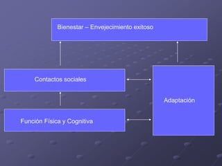 Bienestar – Envejecimiento exitoso
Contactos sociales
Función Física y Cognitiva
Adaptación
 
