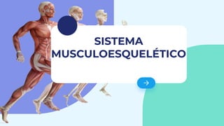 SISTEMA
MUSCULOESQUELÉTICO
 