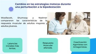 Cambios en las estrategias motoras durante
una perturbación a la bipedestación
Latencias
iniciales más
lentas.
Respuesta
Muscular
alterada.
Coactivación
Agonistas con
Antagonistas.
Woollacott, Shumway y Nashner
compararon las características de la
respuesta muscular de adultos mayores y
adultos jóvenes.
 