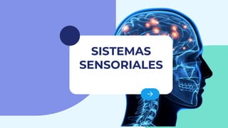 SISTEMAS
SENSORIALES
 