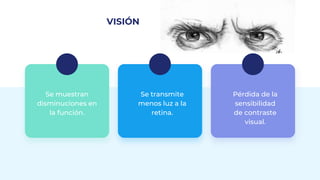 VISIÓN
Se muestran
disminuciones en
la función.
Se transmite
menos luz a la
retina.
Pérdida de la
sensibilidad
de contraste
visual.
 