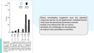 Estos resultados sugieren que los adultos
mayores sanos no se balancean notablemente
más que las personas jóvenes cuando
existe una reducción de un único
sentido, sin embargo en los jóvenes
el reducir dos sentidos si cambia.
 