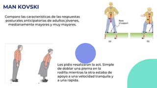 MAN KOVSKI
Comparo las características de las respuestas
posturales anticipatorias de adultos jóvenes,
medianamente mayores y muy mayores.
Les pidio resalizaran la act. Simple
de doblar una pierna en la
rodilla mientras la otra estaba de
apoyo a una velocidad tranquila y
a una rápida.
 