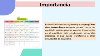 Importancia
Estos experimentos sugieren que un programa
de entrenamiento sensorial para el control del
equilibrio puede generar avances importantes
en el equilibrio bajo condiciones sensoriales
alteradas, el que puede transferirse a otras
actividades de equilibrio.
 