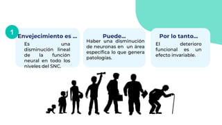 Envejecimiento es ...
Es una
disminución lineal
de la función
neural en todo los
niveles del SNC.
Haber una disminución
de neuronas en un área
específica lo que genera
patologías.
Por lo tanto...
El deterioro
funcional es un
efecto invariable.
1
Puede...
 