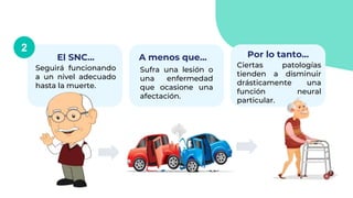 El SNC...
Seguirá funcionando
a un nivel adecuado
hasta la muerte.
Sufra una lesión o
una enfermedad
que ocasione una
afectación.
Por lo tanto...
Ciertas patologías
tienden a disminuir
drásticamente una
función neural
particular.
2
A menos que...
 