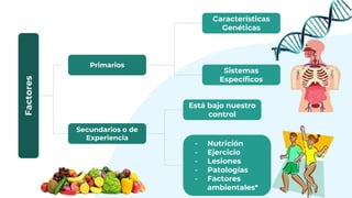 Factores
Primarios
Secundarios o de
Experiencia
Características
Genéticas
Sistemas
Específicos
Está bajo nuestro
control
- Nutrición
- Ejercicio
- Lesiones
- Patologías
- Factores
ambientales*
 