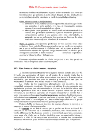 TEMA 33: Envejecimiento y muerte celular
Carlos Navarro López - 5 -
telomerasa disminuye notablemente, llegando incluso a ser nula. Esto causa que
los mecanismos que controlan el ciclo celular, detecten un daño celular, lo que
no permite la replicación, y por tanto se pierde la capacidad proliferativa.
- Genes involucrados en el envejecimiento:
o Inhibidores de las proteínas quinasas dependientes de ciclina (que son las
que controlan el ciclo celular), cuya tasa de transcripción aumenta
durante el proceso de envejecimiento celular.
o Otros genes, cuyas proteínas no modifican el funcionamiento del ciclo
celular, pero que también aumenta su expresión durante los procesos de
envejecimiento celular, y que generan entre otras enfermedades, la
progenia, que es una enfermedad degenerativa que hace que los niños
desde que nacen envejezcan más rápido de lo habitual.
- Daños en general, principalmente producidos por los radicales libres (daño
oxidativo). Estos radicales libres generan daños que no pueden ser reparados,
por lo que se acción causa que la célula funcione cada vez peor, y además, su
acción también aumenta los signos de envejecimiento celular. Se ha visto que si
conseguimos descender el daño oxidativo –evitar que se produzca–
aumenta la vida de la célula y de la persona.
En nuestro organismo no todas las células envejecen a la vez, sino que se van
acumulando células envejecidas en los diferentes tejidos.
33.3.- Tipos de muerte celular: necrosis y apoptosis.
Al fenómeno de la muerte celular no se le prestó atención hasta los años 70 y 80.
El hecho que desencadenó el interés en el estudio de la muerte celular fue la
comprensión de la idea de que había un mecanismo con una serie de características
bioquímicas, que mediante una serie de proteínas y de receptores era capaz de
desencadenar el fenómeno de la muerte celular de forma controlada.
Las células de los organismos pluricelulares son miembros de una
comunidad sumamente organizada. El número de células de esta comunidad está
regulado con precisión –no sólo controlando la velocidad de la división celular, sino
también regulando el ritmo de la muerte celular–. Aquellas células que ya no son
necesarias, se autoeliminan activando un programa intracelular de muerte. Por lo
tanto, este proceso se llama muerte celular programada (por tanto, fisiológico), aunque
suele denominarse apoptosis (a partir de un término griego que significa "caer", como
las hojas de un árbol, la caída del pelo, etc.). Este nombre surgió en los años 70, ya que
hasta ese momento se denominaba “necrosis por encogimiento”.
Podemos hablar por tanto, de dos tipos de muertes celulares: la necrosis y la
apoptosis (o muerte celular programada).
La necrosis es un tipo de muerte que se produce de forma accidental. La
alteración de las funciones de la membrana plasmática, más concretamente de la
bomba ATPasa de Na+
-K+
, hace que aumente la permeabilidad, y por tanto, comience a
entrar agua a la célula, que se hincha, alterándose pues su organización interna, y
provocando la salida de los componentes intracelulares al exterior, que provocará un
proceso de inflamación, y que necesitará de células especializadas para su fagocitosis.
 