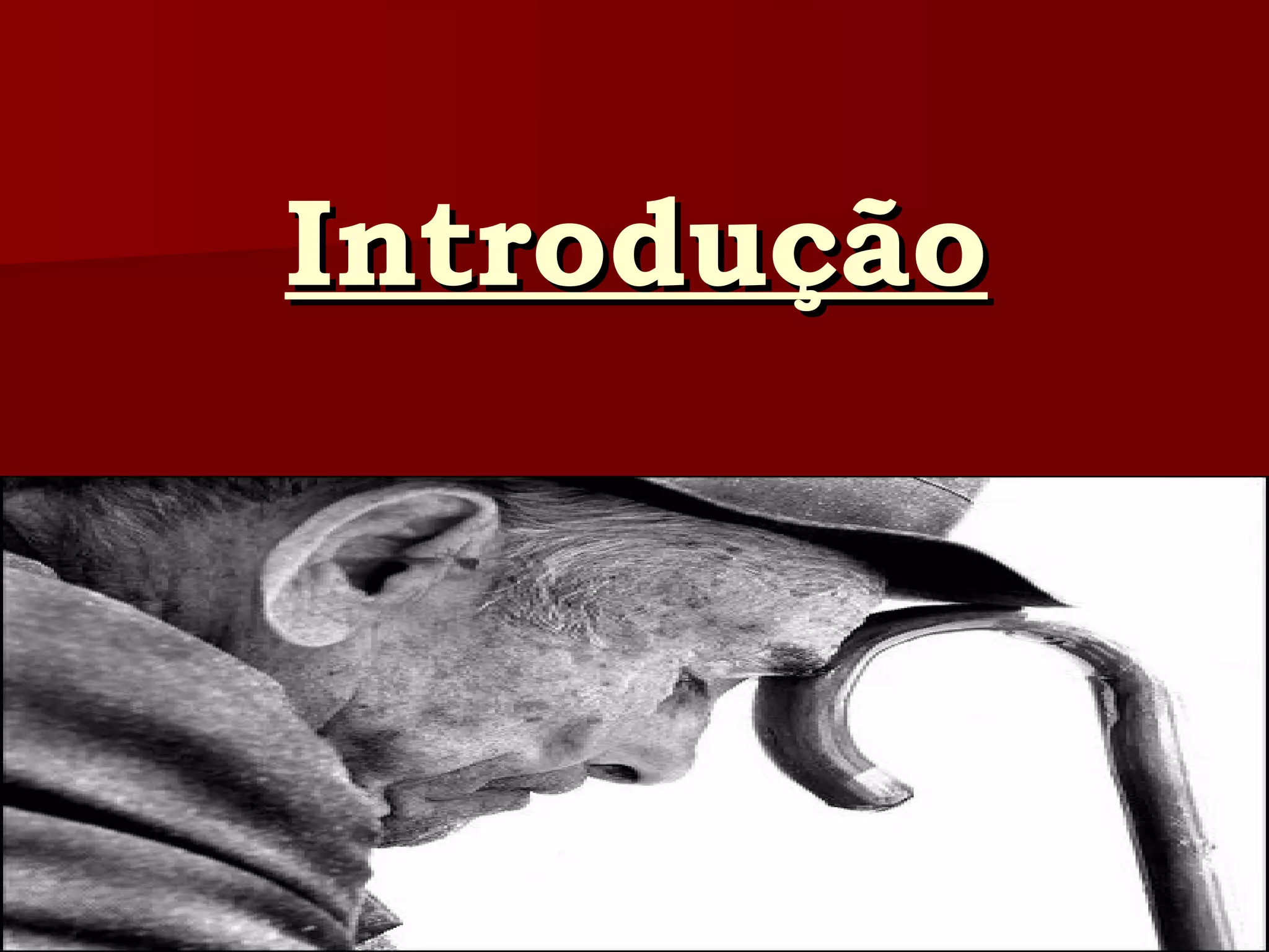 Introdução 
