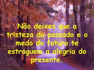 Não deixes que a tristeza do passado e o medo do futuro te estraguem a alegria do presente. 
