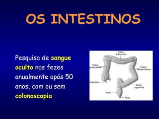 OS INTESTINOS
Pesquisa de sangue
oculto nas fezes
anualmente após 50
anos, com ou sem
colonoscopia
 