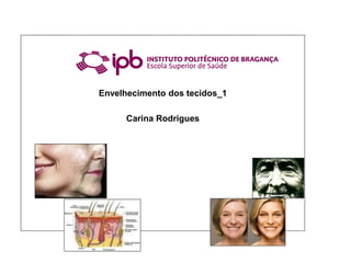 Envelhecimento dos tecidos_1
Carina Rodrigues
 